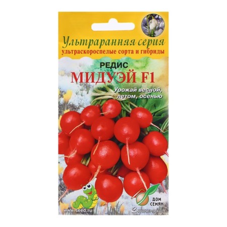Seeds Radii "Midway F1", 50 pcs