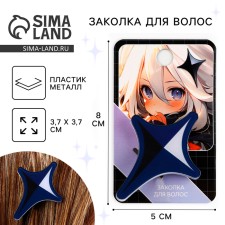 Hair clips on the postcard 