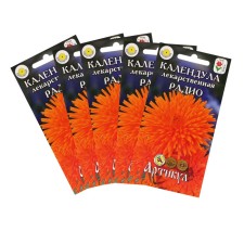 Calendula flowers 