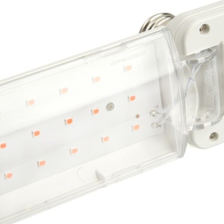 Feron, E27, 20 W, 175-265 V, Pink Light Lamp-3