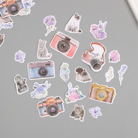 Stickers for creativity "Cats, flowers and photos" 3.5x5 cm set 40 pcs 9.4x8.4x0.5 cm