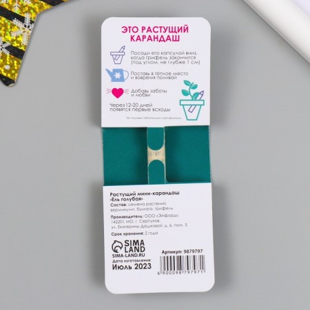 Growing Mini gift pencils grow its tree "Blue spruce"-1