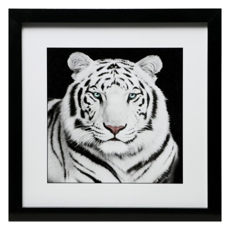 Picture "White Tiger" 35x35 (39x39) cm
