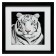 Picture "White Tiger" 35x35 (39x39) cm