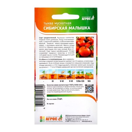 Siberian Baby pumpkin seeds 3pcs* selection agros-1