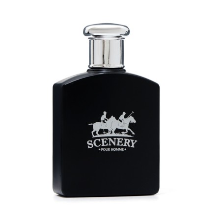 Male toilet water SCENERY, 100 ml-3