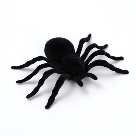 Spider joke, set, black color-1