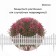 Decorative fence, 30 × 300 cm, 5 sections, plastic, white, Greengo