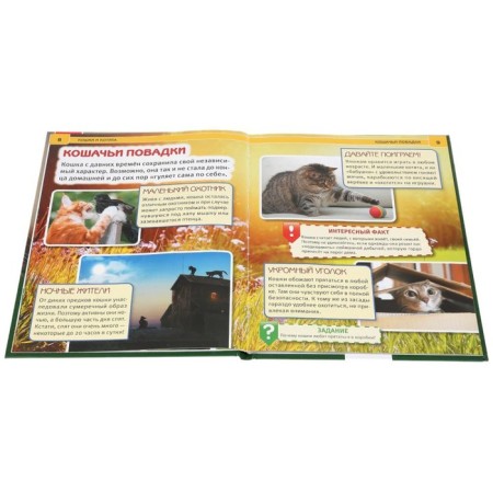 Encyclopedia A4 "Cats and kittens"-2