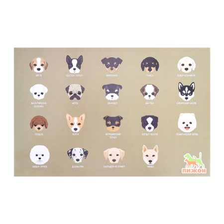 Rug for a bowl "Pigger" 43 x 28 cm "dog breeds"-2