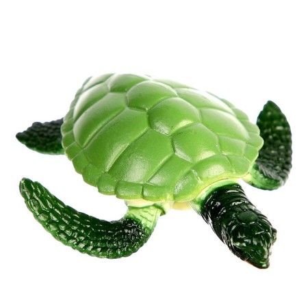 Training set "Stages of development of sea turtles" 4 figures-7