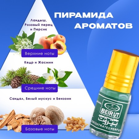Men's oil perfumes Beirut, 3 ml-1