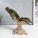Souvenir Polystone "Turtles on Corals" 19.5x11.5x25 cm