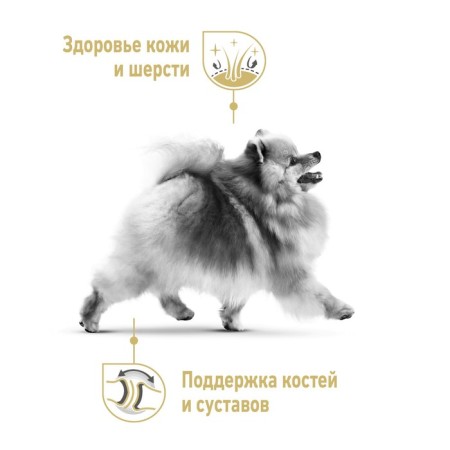 Dry food RC Pomeranian for Pomeranian Spitz, 1.5 kg-3