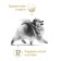 Dry food RC Pomeranian for Pomeranian Spitz, 1.5 kg