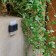 USL-F-159/PM090 Quatro Covetor Wall Battery. 6 LEDs. Warm