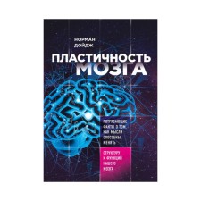 Plasticity of the brain. Stunning facts about how thoughts capable of a pitch and brain function