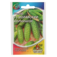 Seeds of the cucumber 