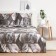 Bedding Pavline 1.5SP Geometry 145x215, 150x215, 70x70cm 2pcs Polisatin 70g/m, polyester 100%