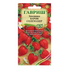 Strawberry seeds 
