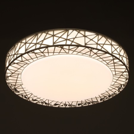 Lamp "Bird Nest" LED 36W 3000-6000k White D.39 cm-2