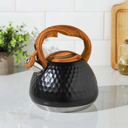 A kettle with a stainless steel whistle Magistro Heat, 3 L, TRS, Induction, Soft-Touch Hand, Black Color Black-1