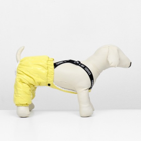 Complex-stanks for dogs, size L (DS 40, from 44 cm), yellow-1