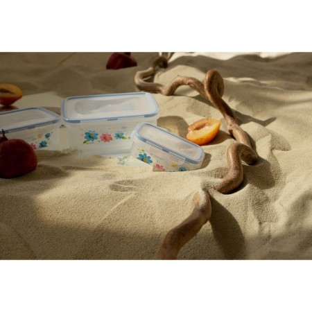 A set of lunch boxes of plastic rectangular "Polyanka", 3 pcs: 150 ml, 300 ml, 500 ml, color mix-10