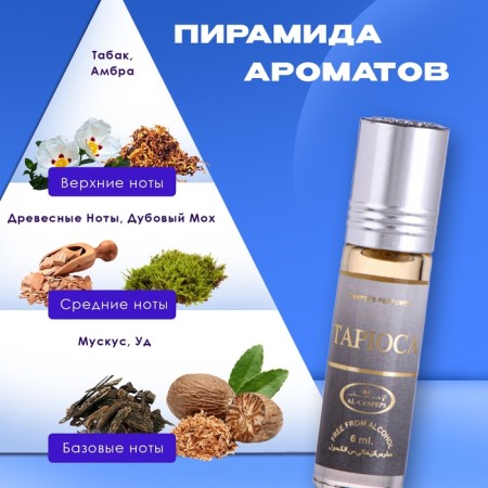 Men's oil perfume Tapioca, 6 ml-1