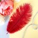 Feather for decor, size: 24 cm, burgundy color