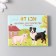 Stickers for creativity "Home -based animals" embossing gold set 48 pcs 9x7x0.8 cm
