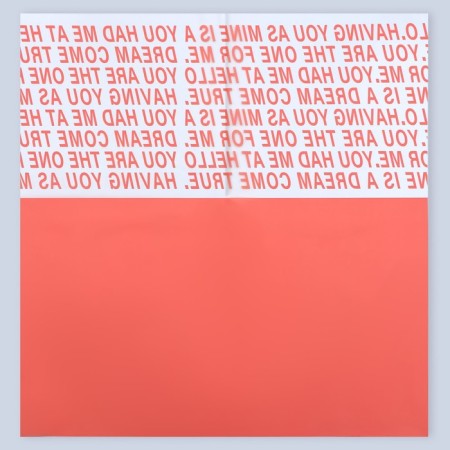 Film for flowers matte, "Parapical letter", 58x58cm, carrot-3