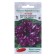 Flowers of Petunia Color multi -flowered funny artist Dot Star Violet F1 7 pcs.