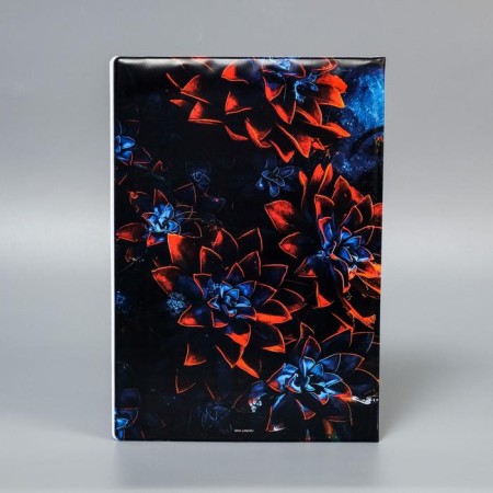 Docs family documents folder, 8 A4 files-5