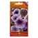 Flowers of Petunia Super Tunia "Plam Wein" F1, 6 pcs