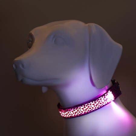 Collar with backlight leopard 3 glow modes, size L, Osh 48-60 x 2.5 cm violet-1