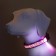 Collar with backlight leopard 3 glow modes, size L, Osh 48-60 x 2.5 cm violet