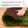Decorative panel, 90 × 40 cm, “duckweed”, Greengo