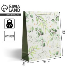 Gift laminated package, packaging, Pressent for You, Ml 21 x 25 x 8 cm
