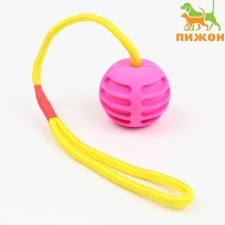 Toy 