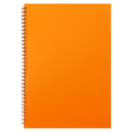 Notebook on the crest A4 48 sheets in the Calligrata cell orange, plastic cover, offset block-3