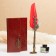 Gift set 4V1 "steampunk": notebook, pier pen red, ink, tips