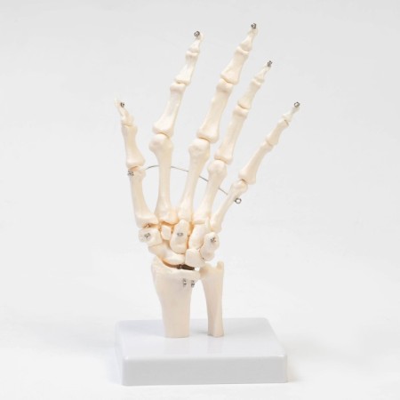 Model "Boat joint" 25*11*11cm-2