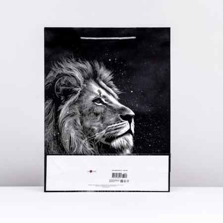 Gift package "Leo", 33 x 42.5 x 10 cm-1