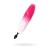 White-pink tail