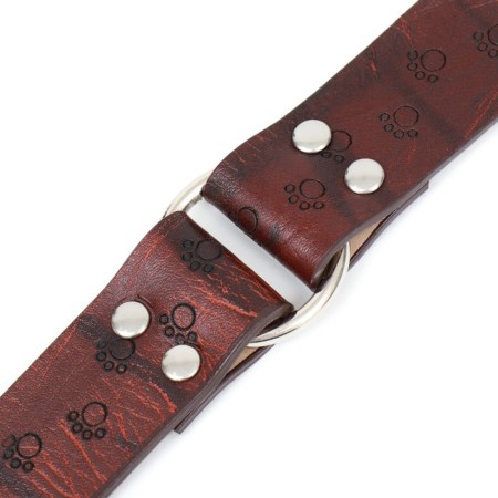 A collar with a base made of thermoplastic rubber with a paw embossing, 58 x 2.7 cm-5