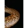 Suspension lamp Danuta LED 4000K 25W