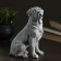 Souvenir "Rottweiler (Big)" 19.5cm