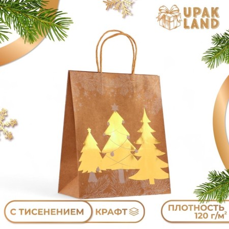 Golden embossing craft package, round handle, "Born Forest" 33 x 25 x 12 cm, 120 g 10574
