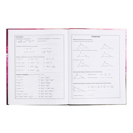 School diary for grades 1-11 Infinity, covered cardboard, glossy lamination, foil embossing, universal cheat sheet, 48 sheets, block 65g/m2-9